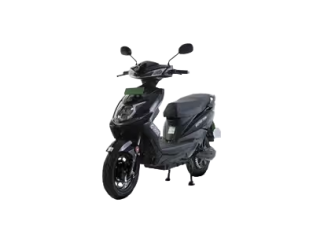 Boldy Black