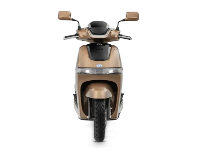 walnut-brown01