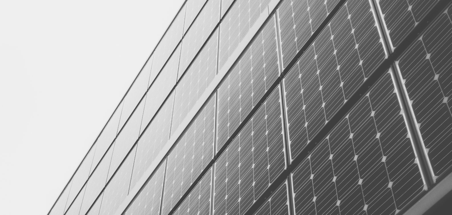 Adani Solar Panels Price List, Specifications, Pros & Cons